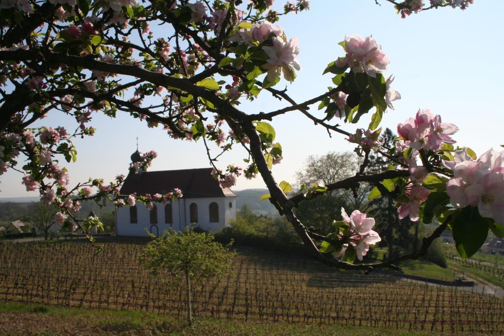 Villa Mandelbluete Gleiszellen-Gleishorbach Chambre photo