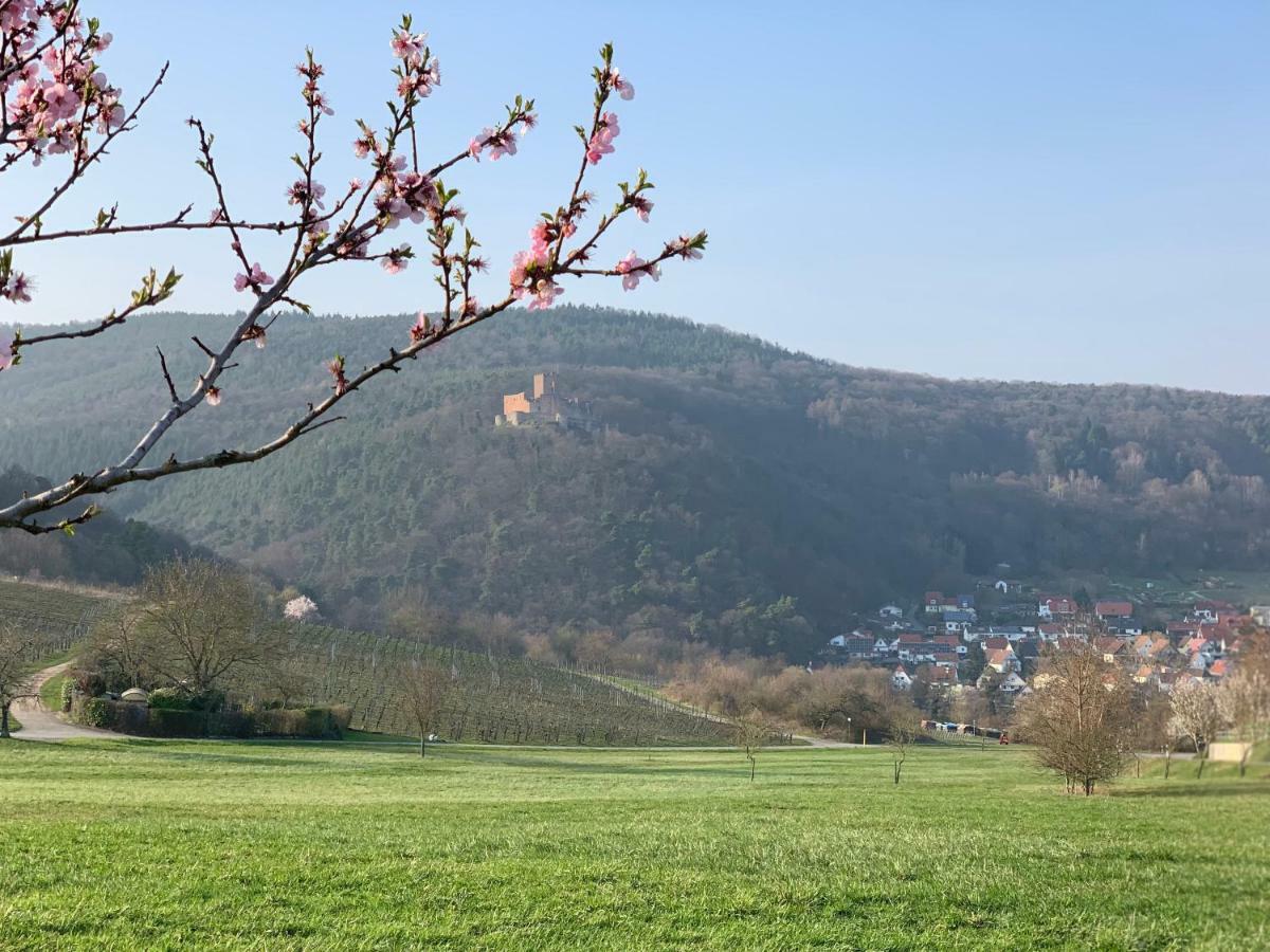 Villa Mandelbluete Gleiszellen-Gleishorbach Extérieur photo
